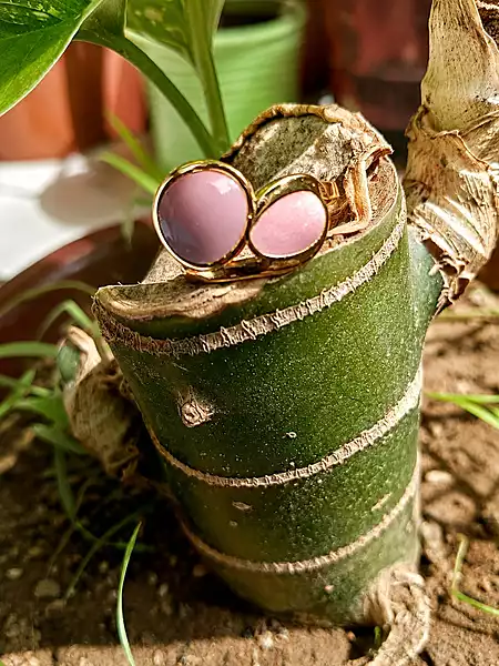 Pastel Pink Double Circle Statement Ring